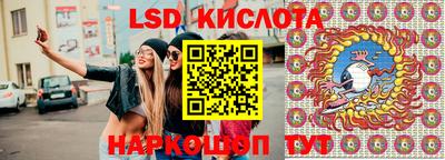 стаф Будённовск