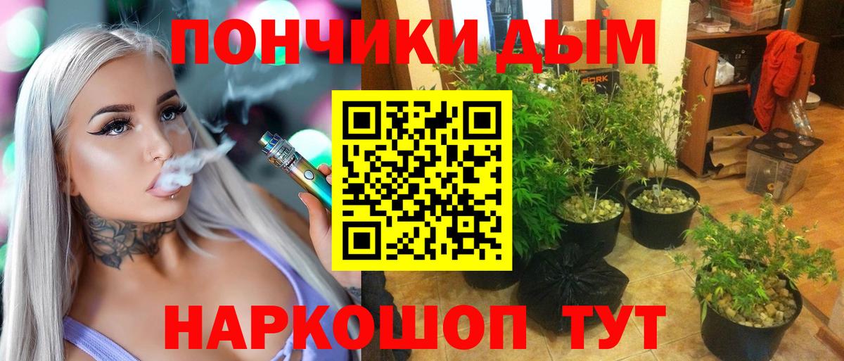 Каннабис OG Kush Петропавловск-Камчатский